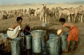 Ravitaillement en eau autour d'un puit en Mauritanie