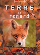 Terre de renard